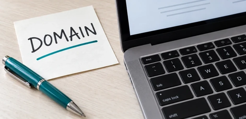 Domain and website management